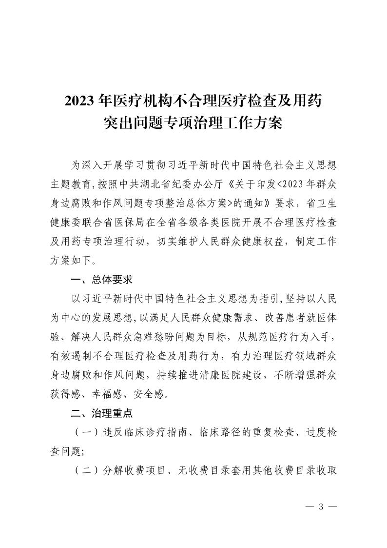 （省发）鄂卫通〔2023〕13号 关于印发《2023年医疗机构不合理医疗检查及用药突出问题专项治理工作方案》的通知(1)jpg_Page3